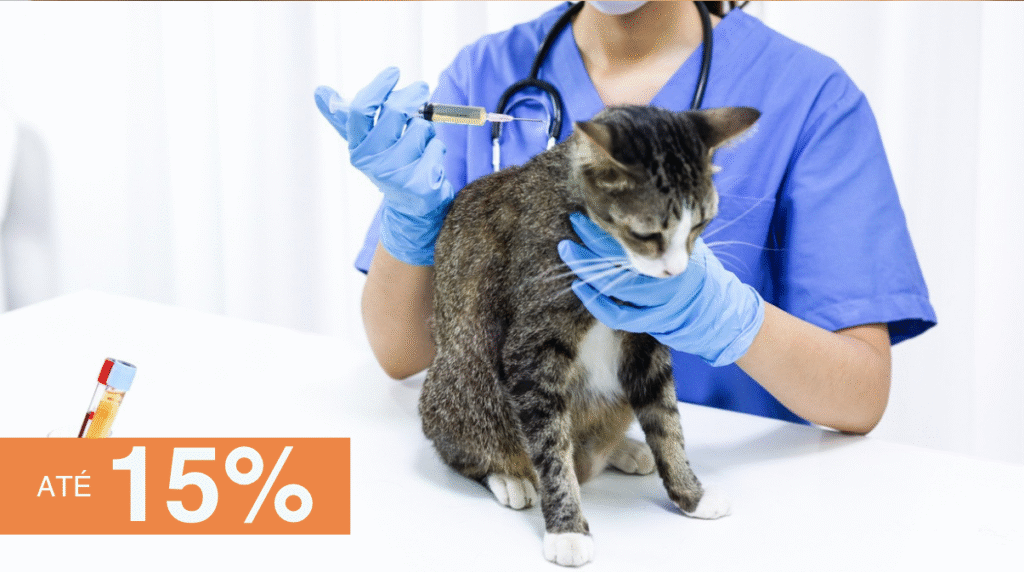 fotos-catalogo-parceiro-san-satri-15%desconto